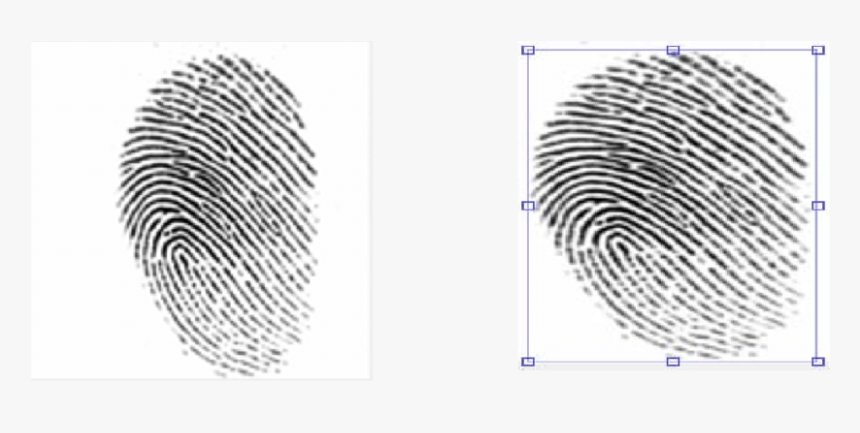 Crime Scene Latent Fingerprints, HD Png Download