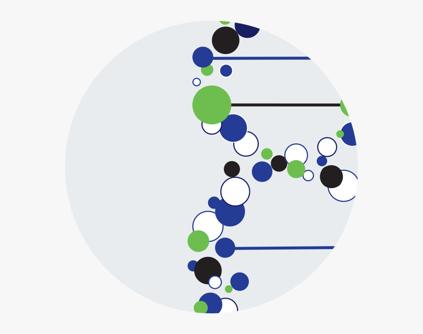 Circle, HD Png Download