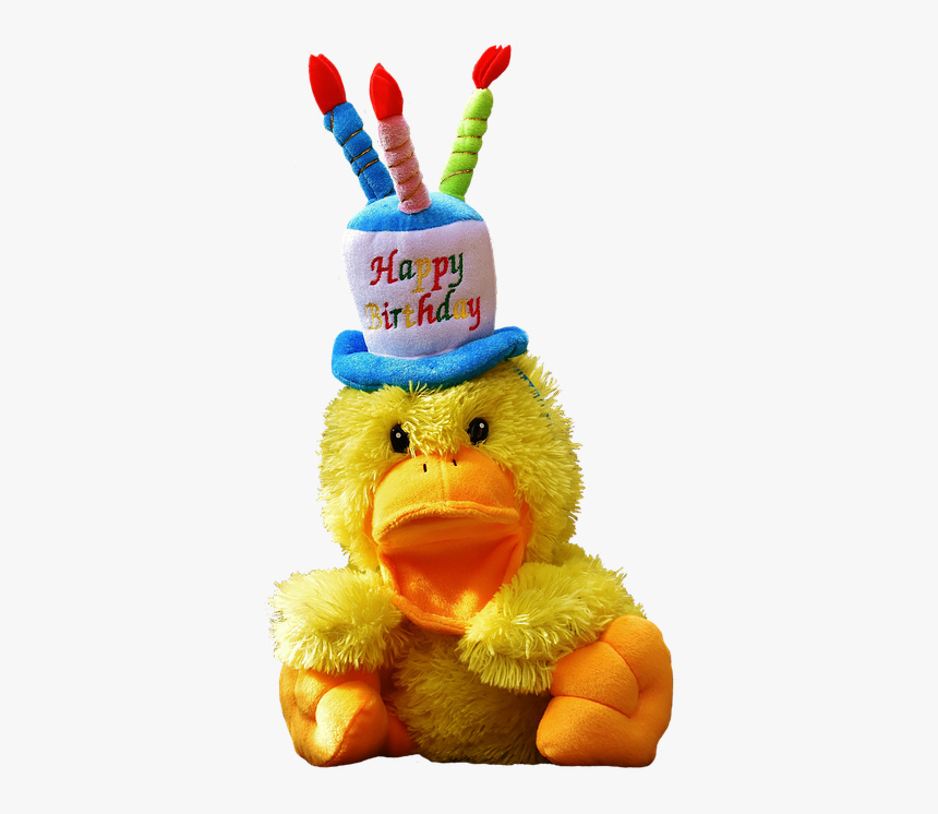 Duck, Birthday, Happy Birthday, Soft Toy - Ente Geburtstag, HD Png Download