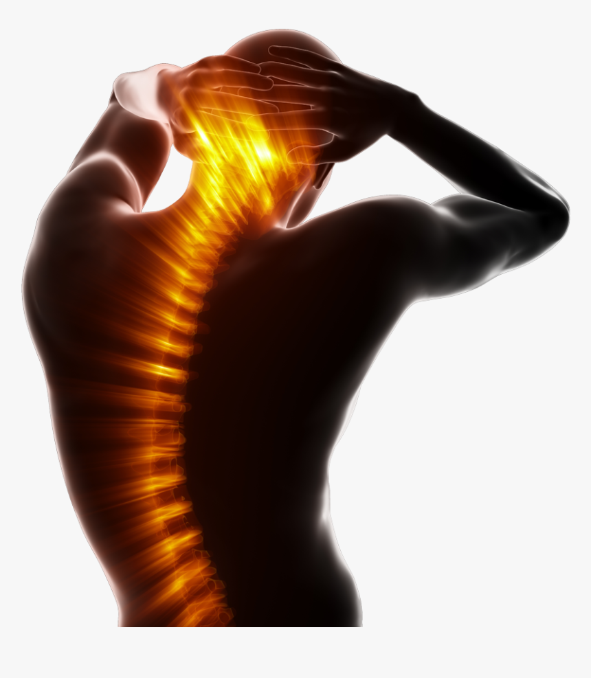 Back - Spinal Pain Png, Transparent Png