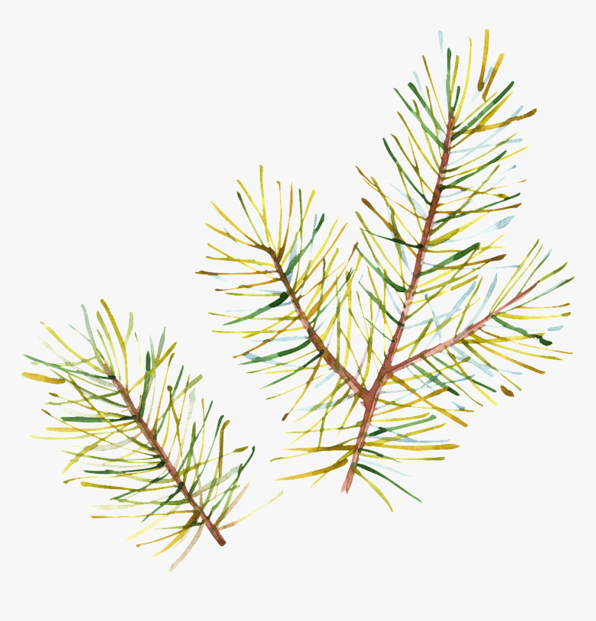 Hand Painted Half Withered Leaves Png Transparent - Aquarelle Christmas, Png Download
