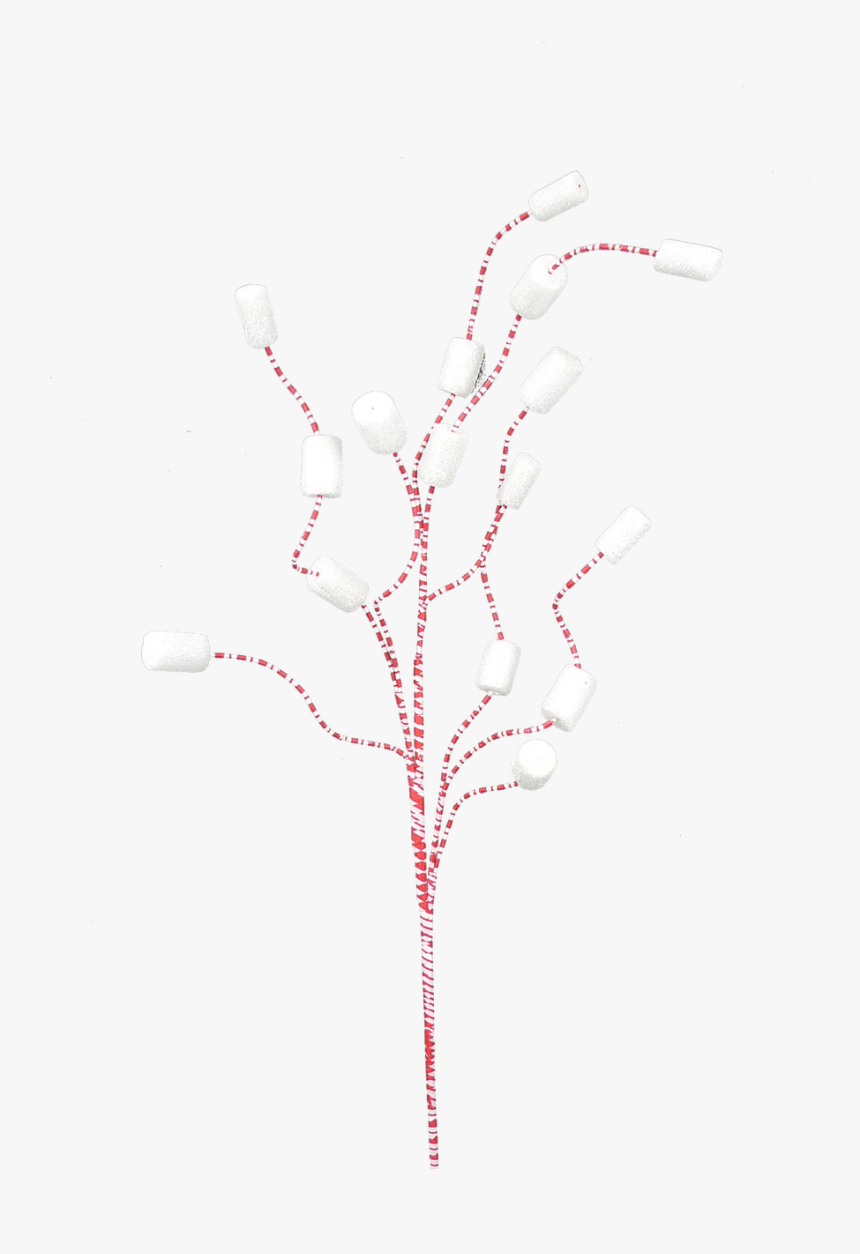 Twig, HD Png Download