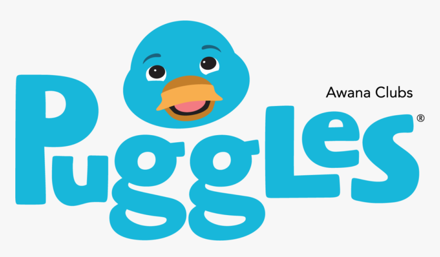 Duck, HD Png Download
