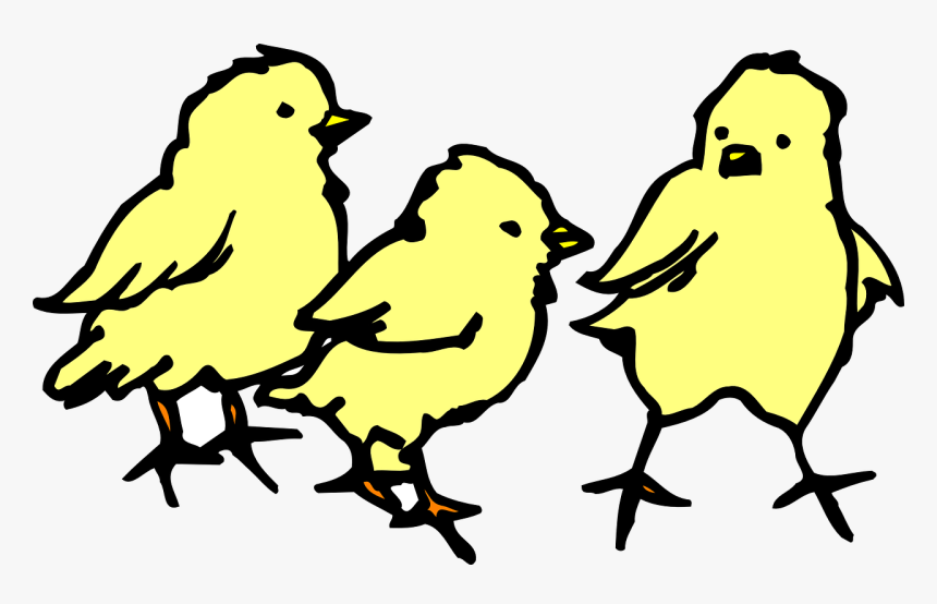 3 Chicks Clipart Black And White, HD Png Download