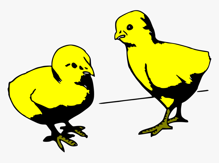 Baby Chick Clipart Black And White, HD Png Download