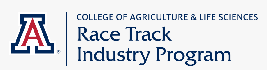 Race Track Industry Program - University Of Arizona Mechanical Engineering, HD Png Download