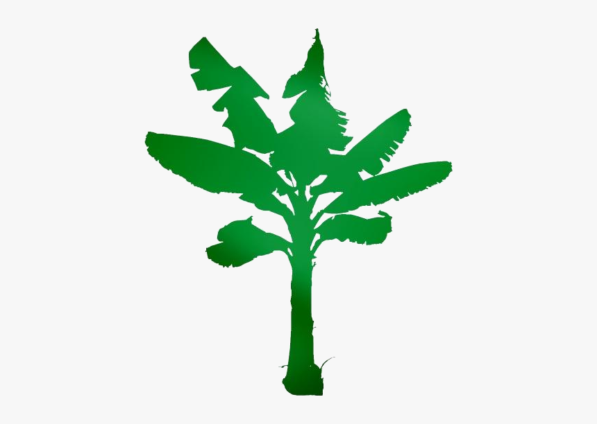 Transparent Banana Tree Clipart Png - Palm Tree, Png Download