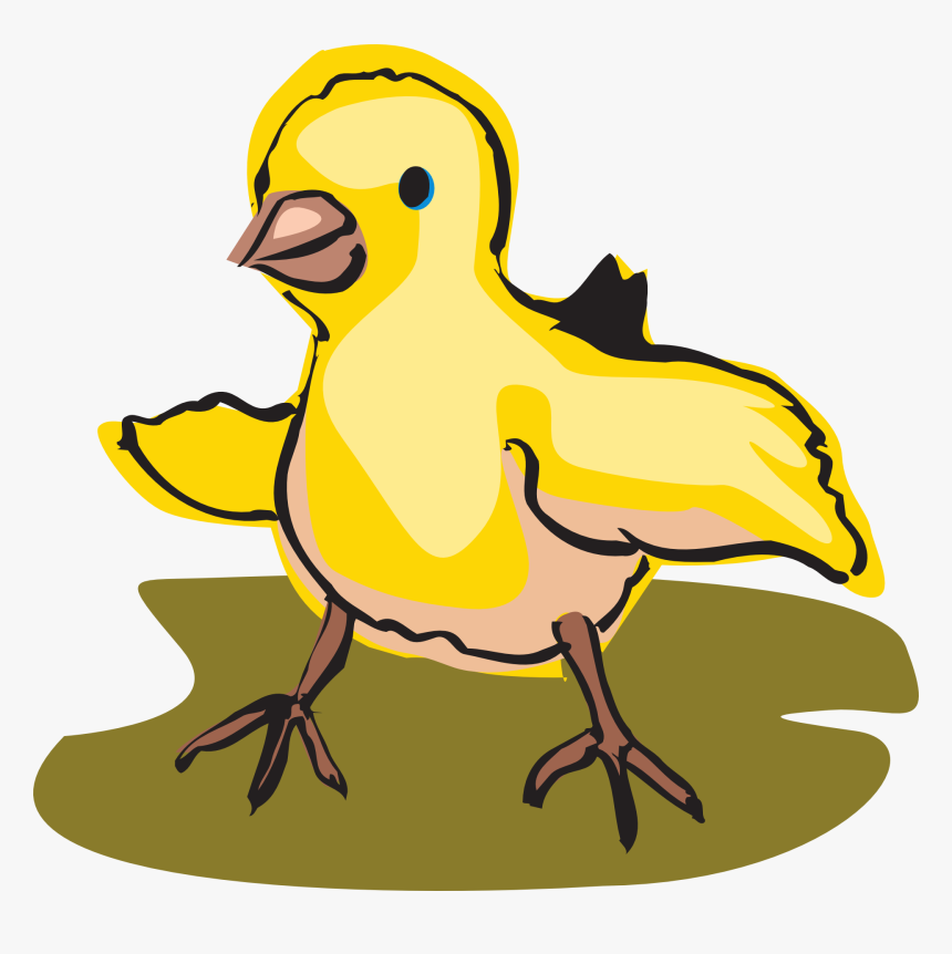 Transparent Baby Chicks Clipart - Baby Bird Clipart, HD Png Download