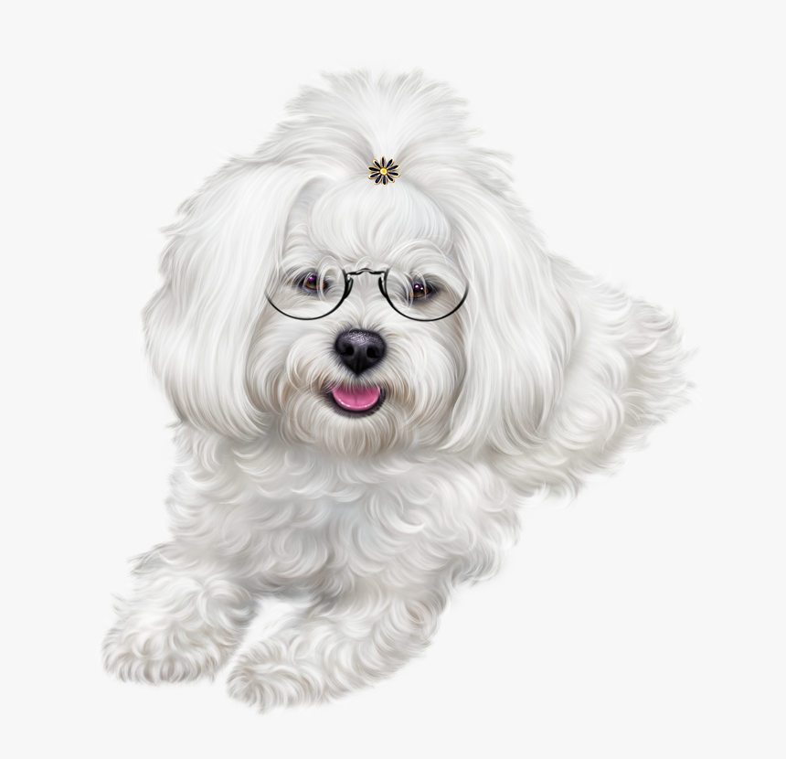 Puppy Clipart Maltipoo - Dog, HD Png Download