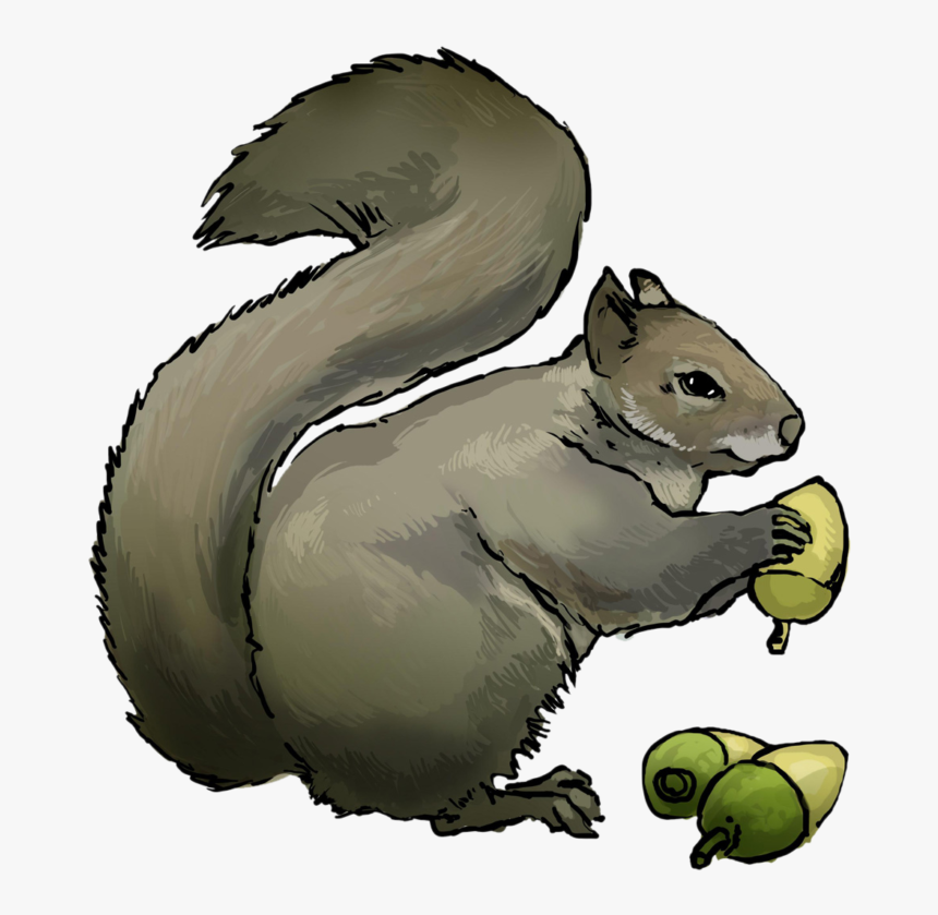 Squirrel Clipart Photos - Squirrel Clip Art, HD Png Download
