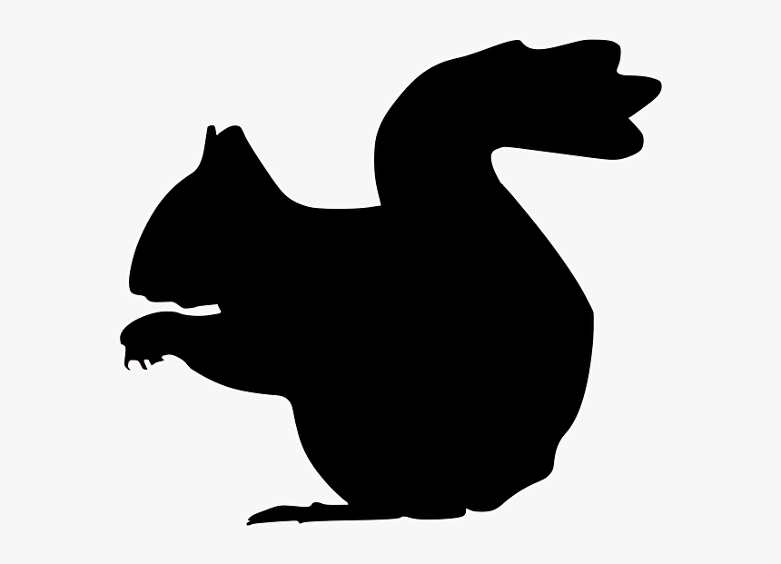 Squirrel Silhouette Clip Art - Squirrel Silhouette Clipart, HD Png Download
