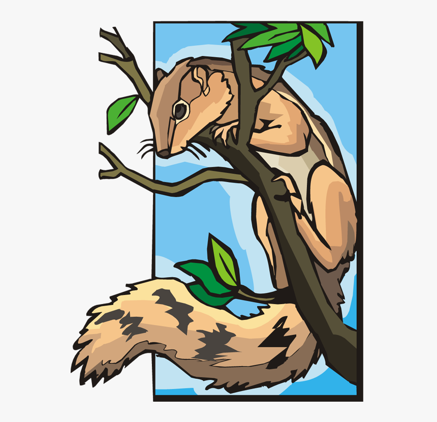 Transparent Squirrel Clipart Png - Squirrel In A Tree Clipart, Png Download