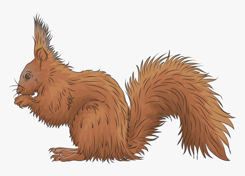 Squirrel Clipart Red - Fox Squirrel, HD Png Download
