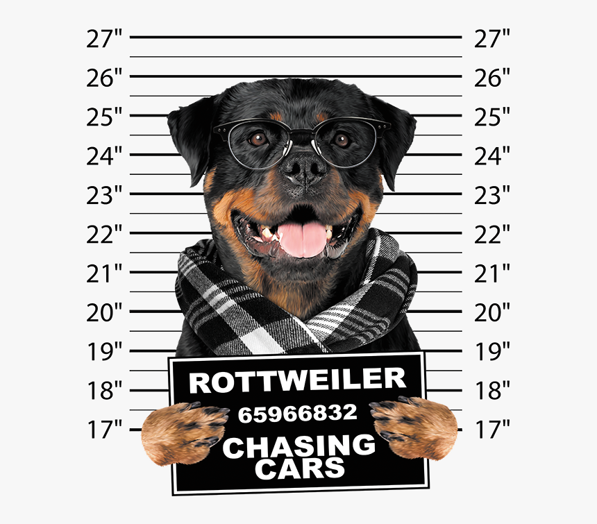 Transparent Rottweiler Png - Hoodie, Png Download