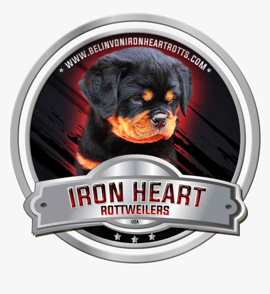 Haus Rottweiler Imperial Warrior, HD Png Download