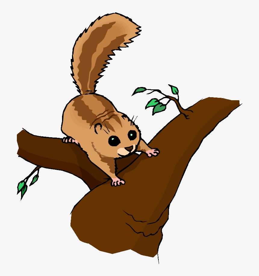 Cute Cougar Clip Art - Chipmunk In Tree Clipart, HD Png Download