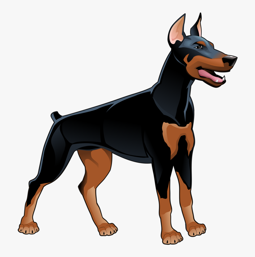 Png Pinterest Dobermans - Dog Illustrations Vector, Transparent Png