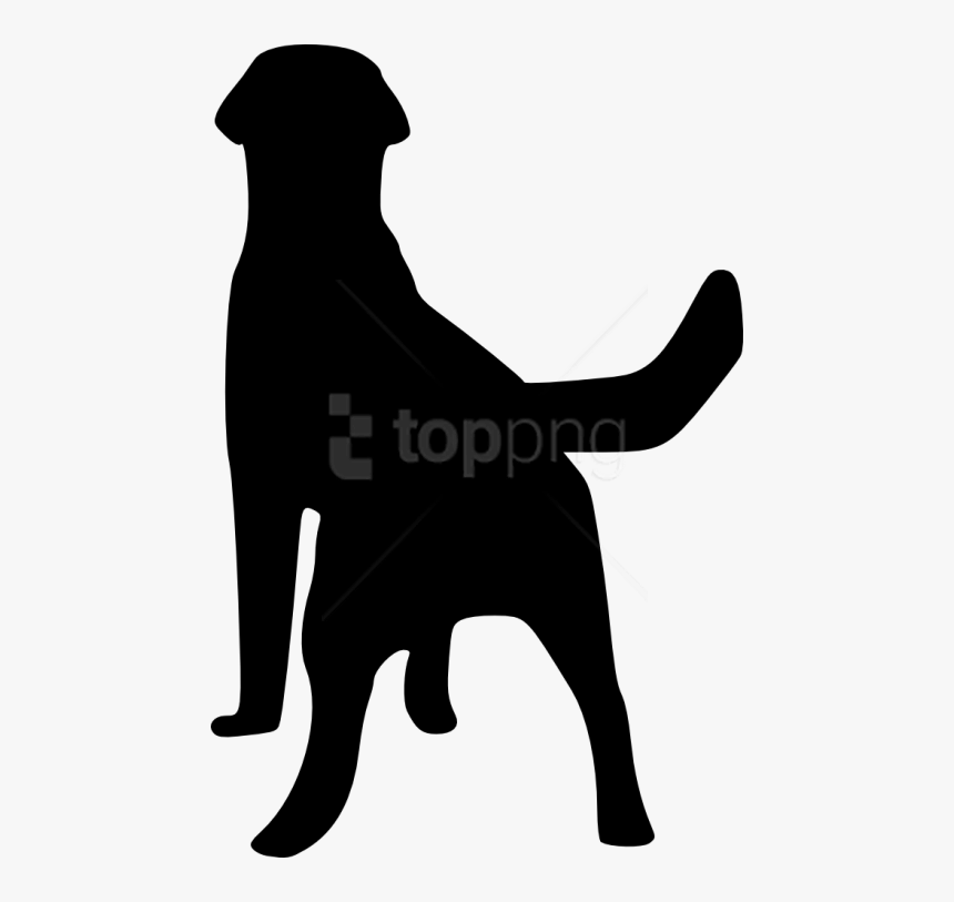 Silhouette Black And White Dog Art Rottweiler Sporting Dog Silhouette From Back Hd Png Download Transparent Png Image Pngitem