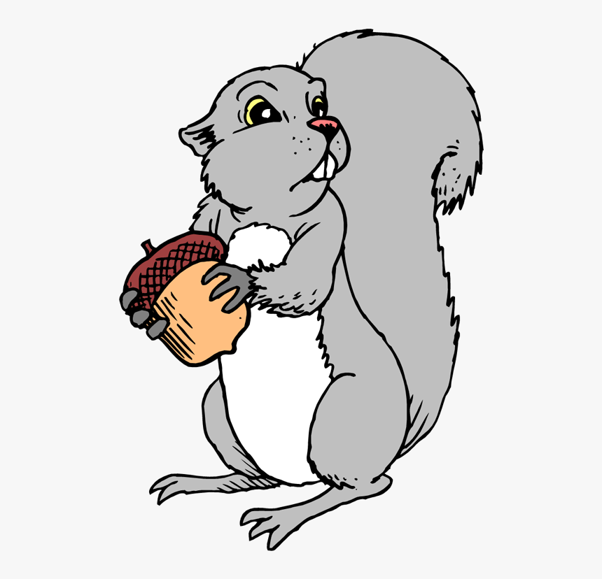 Squirrel Nuts Picture - Gray Squirrel Clipart, HD Png Download
