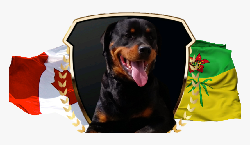 Dog Yawns, HD Png Download