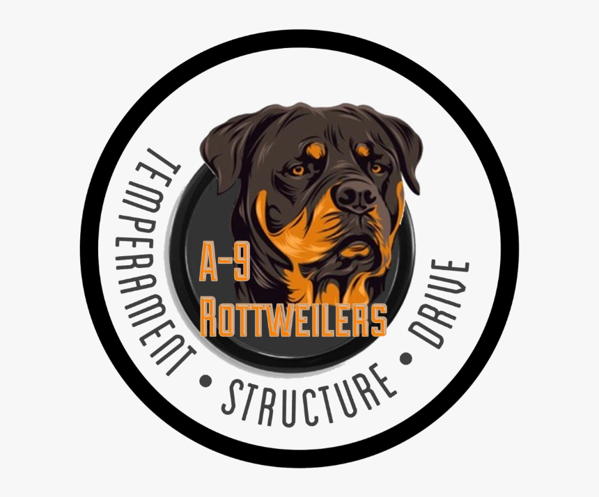 Image19 - Rottweiler, HD Png Download