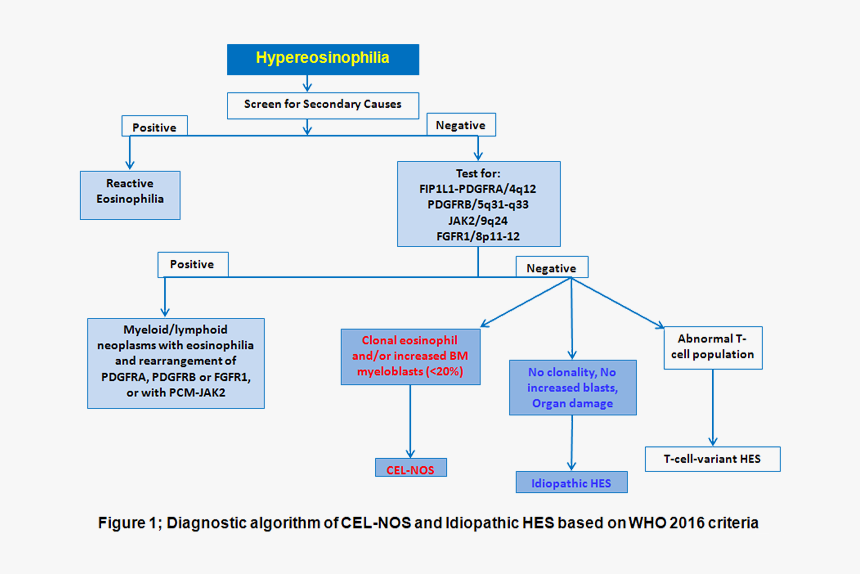 Chronic Eosinophilic Leukemia Criteria, HD Png Download