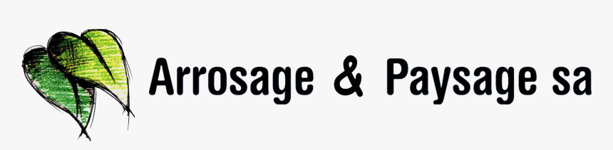 A&p - Graphics, HD Png Download