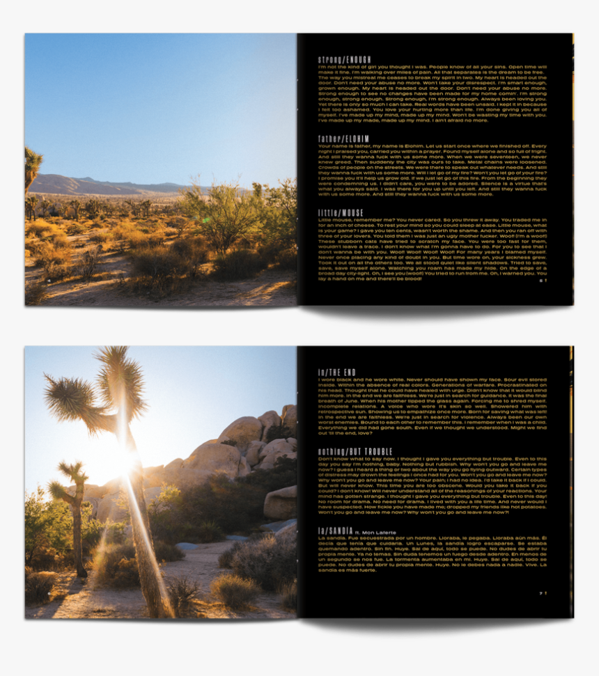 Lebutcherettes 04 Trans - Collage, HD Png Download