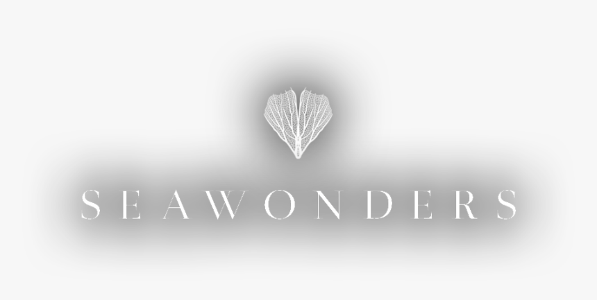 Heart, HD Png Download