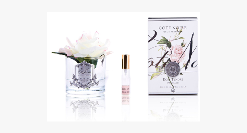 Rose, HD Png Download