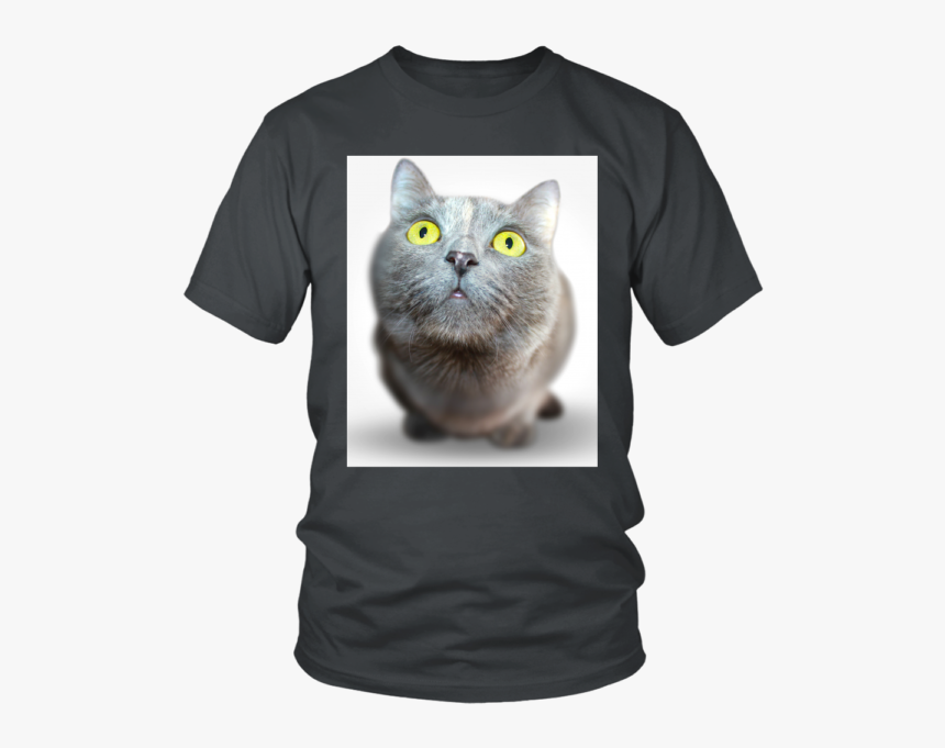 25791835338 10156077514-1 - All Men Are Created Equal Are Born, HD Png Download