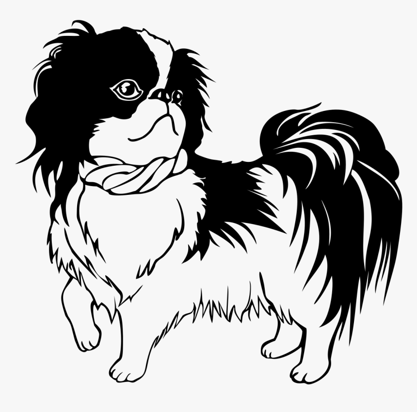 Shih Tzu Line Art, HD Png Download