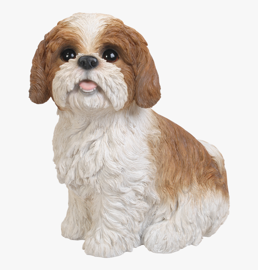 Freeuse Library Brown Sitting Resin Garden Ornament - Shih Tzu Brown And White, HD Png Download