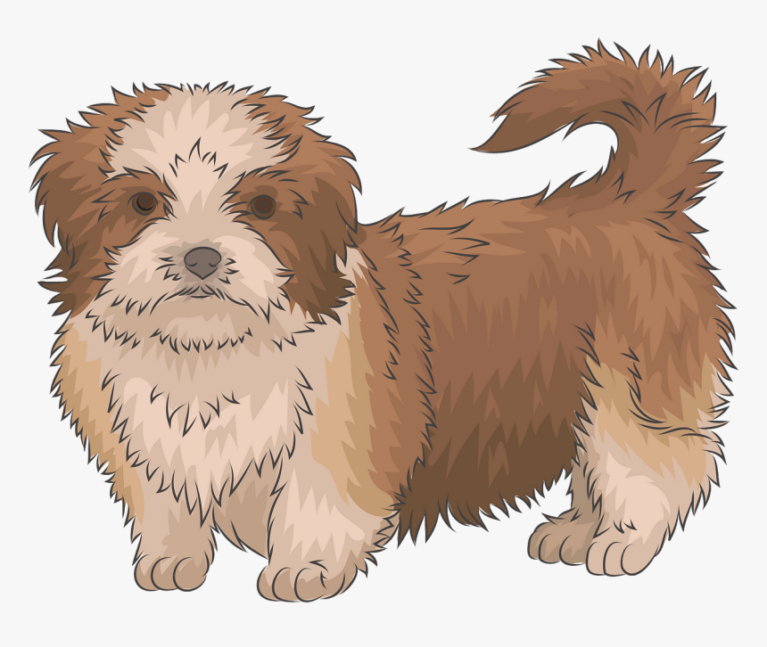 Shih Tzu Png Clip Art, Transparent Png