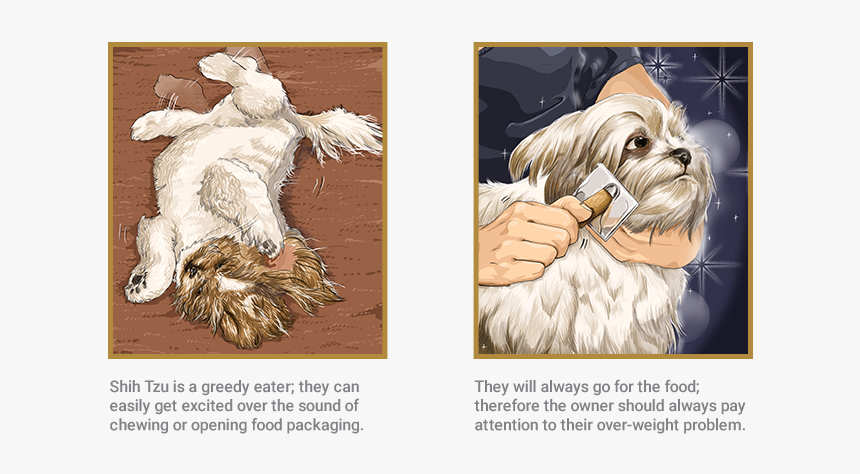 Shih Tzu - Shih Tzu Comic, HD Png Download