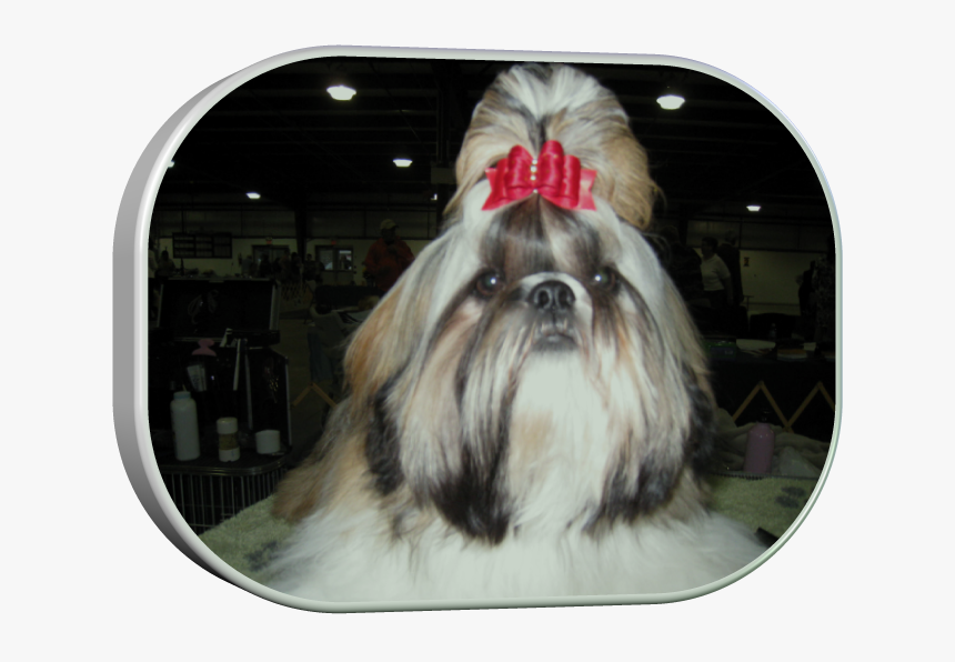 Chinese Imperial Dog, HD Png Download