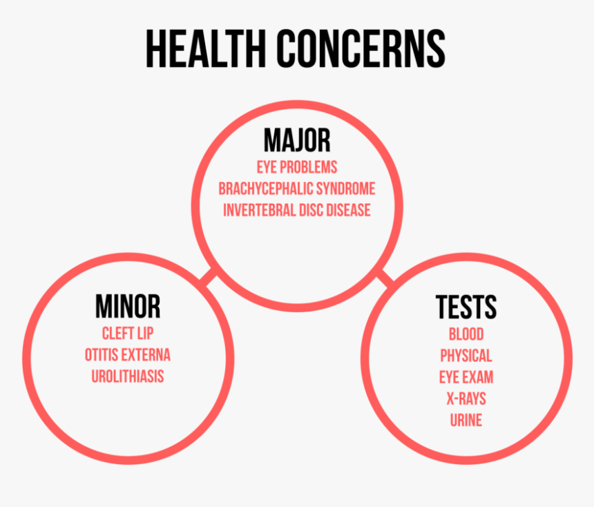 Connecticut Democratic Party, HD Png Download