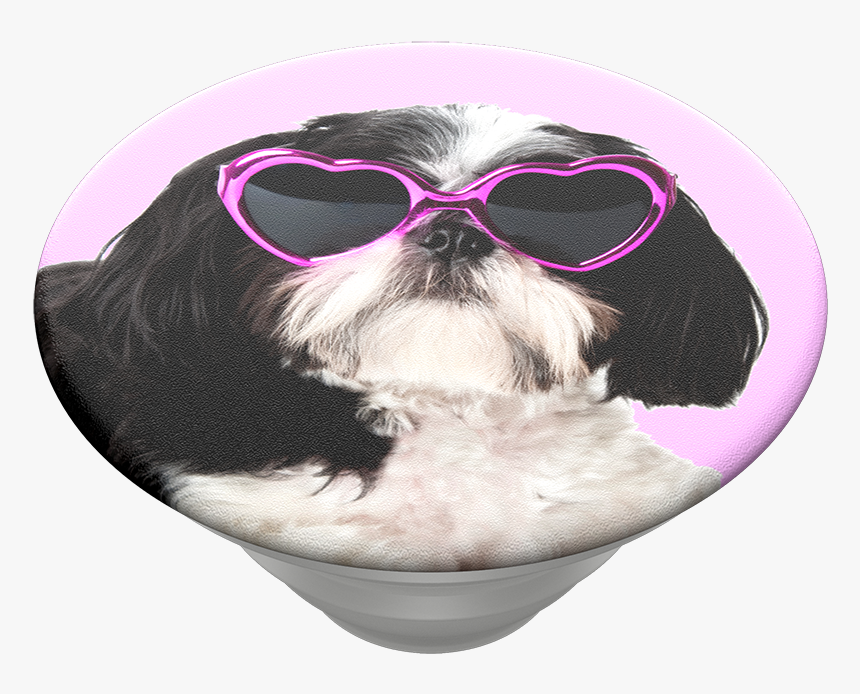 Sassy Shih Tzu, Popsockets - Popsockets, HD Png Download