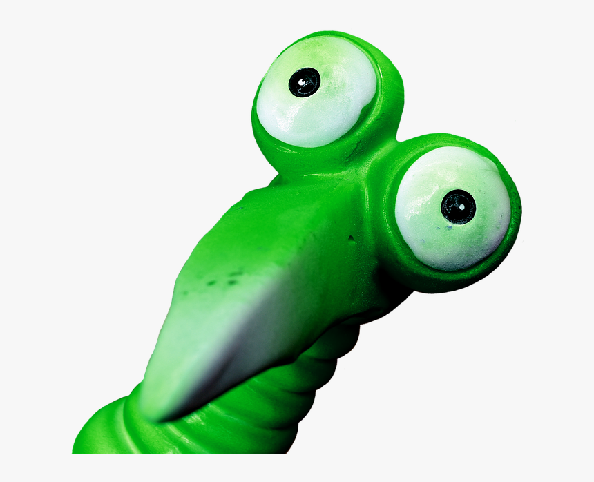 Joker, Green, Funny, Weird Bird, Cute, Feather - Weird Images Transparent Background, HD Png Download