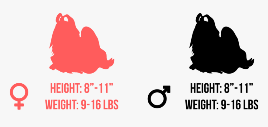 Beautiful Words, HD Png Download