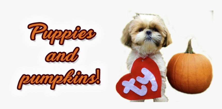 Chinese Imperial Dog, HD Png Download