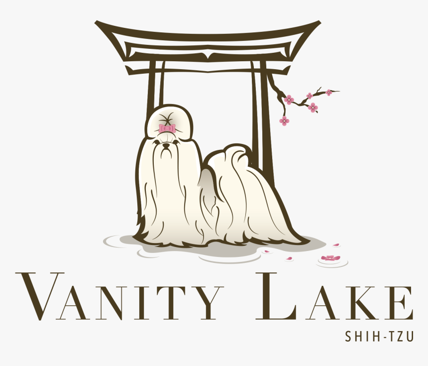 Portable Network Graphics, HD Png Download