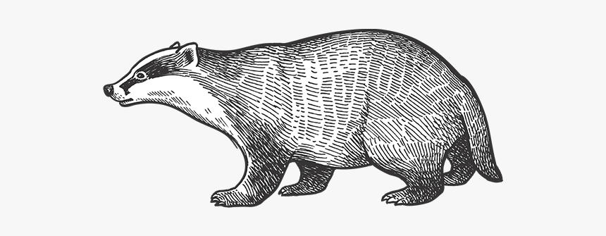 Barn Dei Mona Possum - Animales De Europa Dibujos, HD Png Download