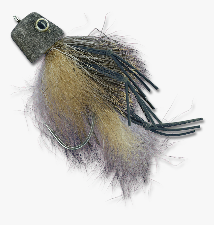 Australian Possum - Feather, HD Png Download