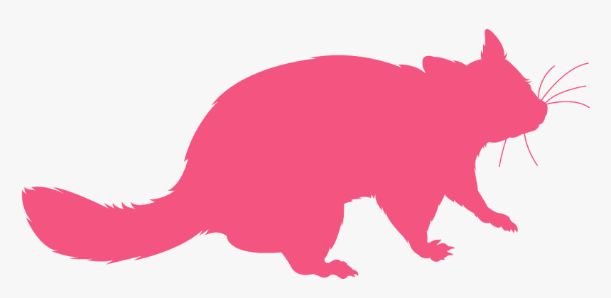 Golden Brushtail Possum Clipart, HD Png Download