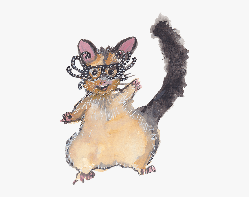Possum Wearing Dame Edna Glasses - Illustration, HD Png Download