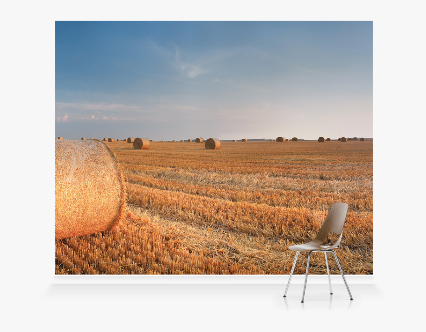 Field, HD Png Download