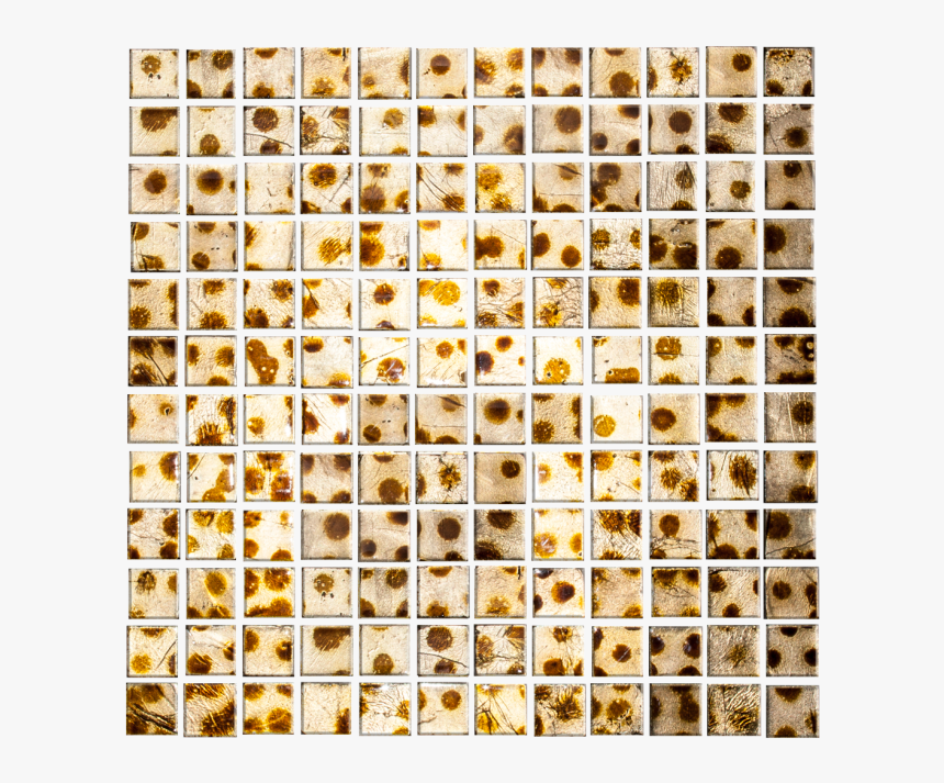 1 Inch Gold Metallic Glass Tile With Brown Cheetah - Animal, HD Png Download