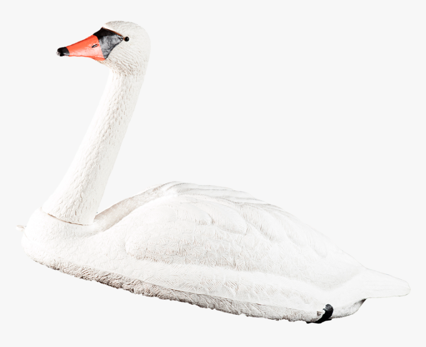 Swan, HD Png Download