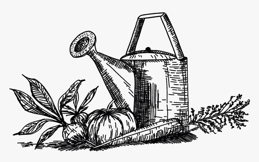 Creating A Rock Path For Drainage - Illustration, HD Png Download